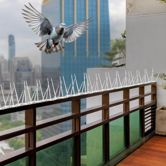Pigeon & Monkey Control Spikes (Set of 10) – Stainless Steel Spikes for Balcony, AC Unit & Window Protection